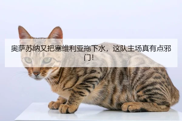 ao-sa-su-na-you-ba-sai-wei-li-ya-tuo-xia-shui-zhe-dui-zhu-chang-zhen-you-dian-xie-men-2-385.jpg