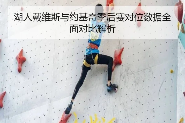 湖人戴维斯与约基奇季后赛对位数据全面对比解析