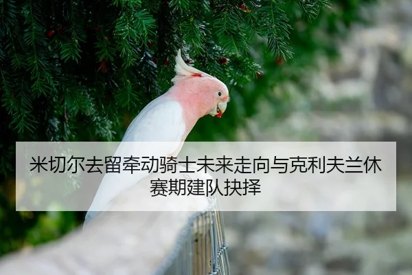 米切尔去留牵动骑士未来走向与克利夫兰休赛期建队抉择