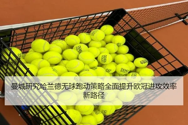 img_1779795456198_3016_1_317.jpg