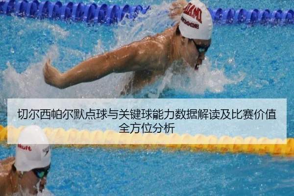 qie-er-xi-pa-er-mo-dian-qiu-yu-guan-jian-qiu-neng-li-shu-ju-jie-du-ji-bi-sai-jia-zhi-quan-fang-wei-fen-xi-2-213.jpg