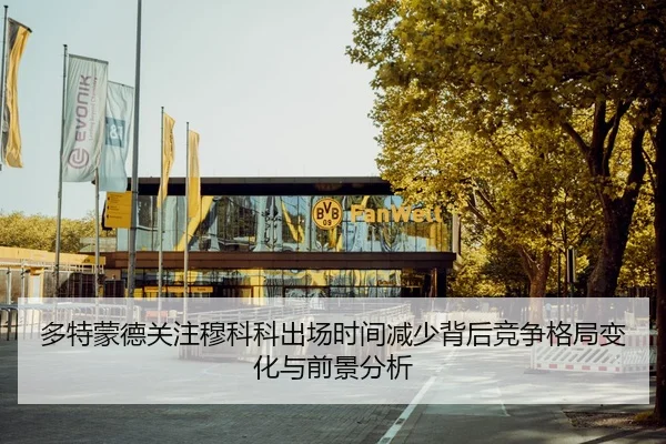 多特蒙德关注穆科科出场时间减少背后竞争格局变化与前景分析