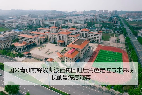 国米青训前锋埃斯波西托回归后角色定位与未来成长前景深度观察